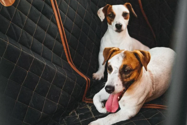 Waterproof Pet Seat Protector