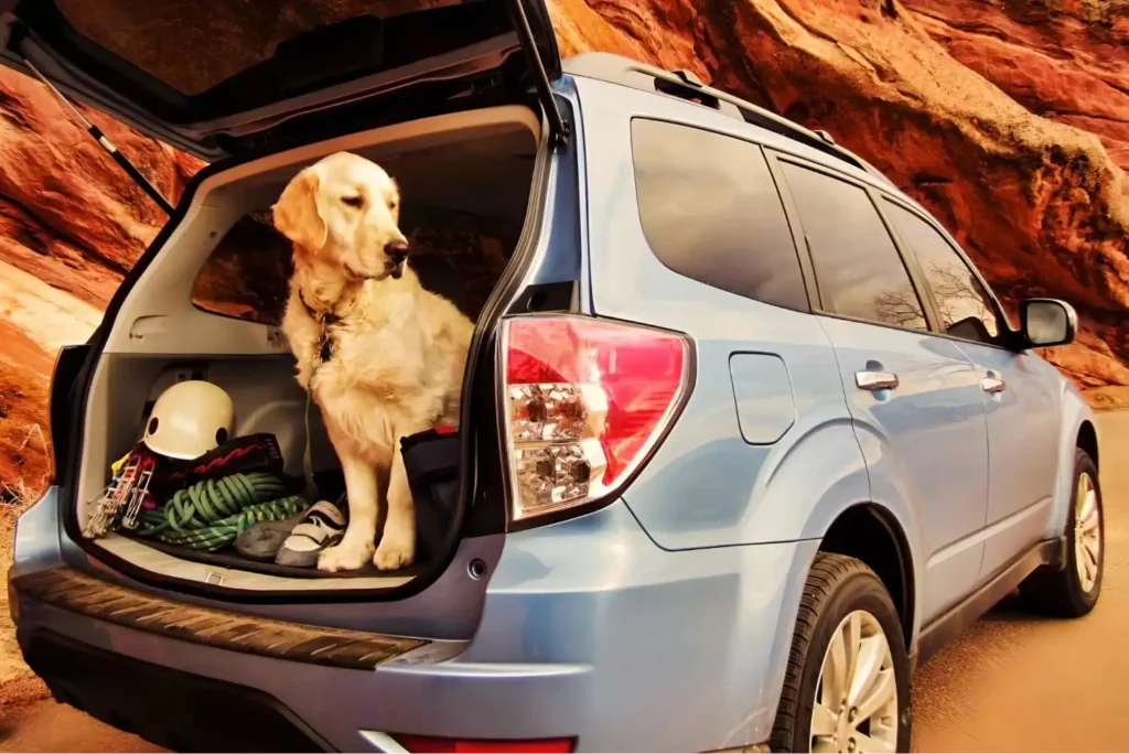 Dog Travel Hammock for Car
