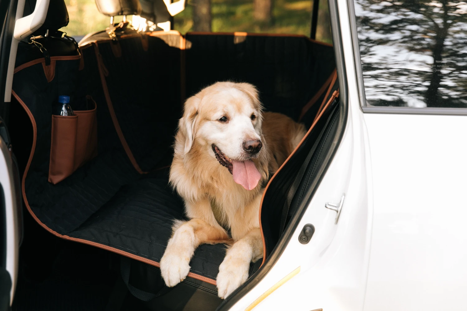 Pet Car Hammock with Side Flaps