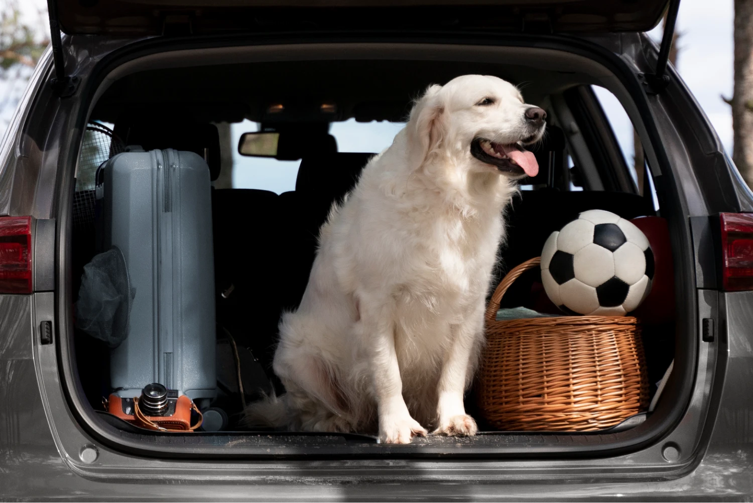 Non-Slip Car Seat Cover for Dogs