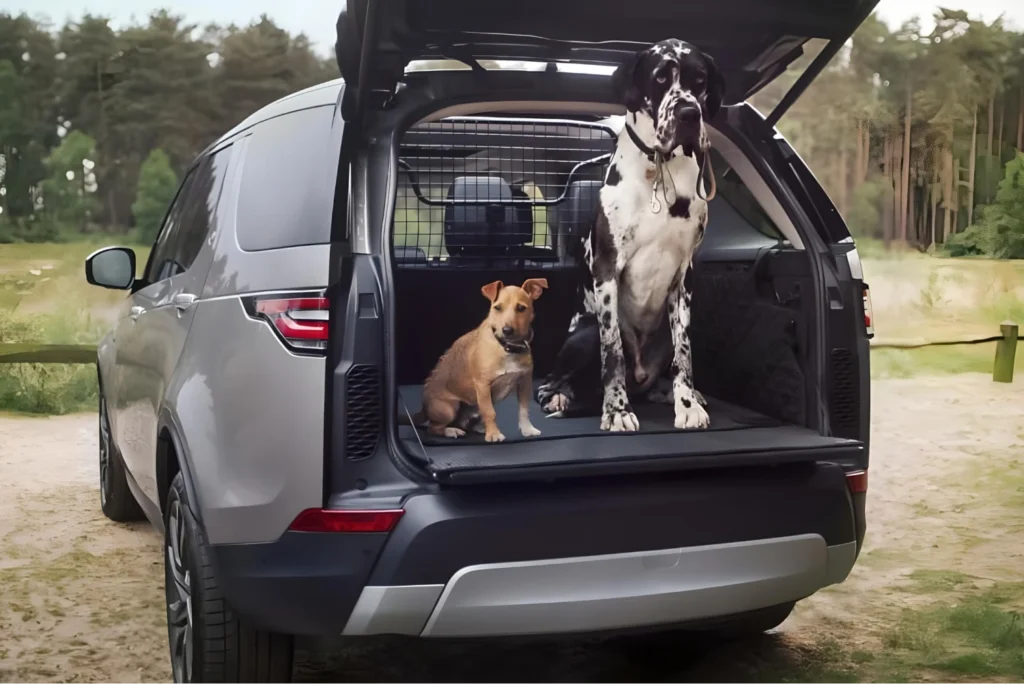 Pet Car Hammock with Side Flaps