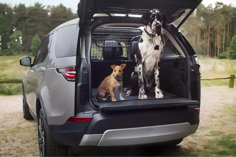 Pet Car Hammock with Side Flaps